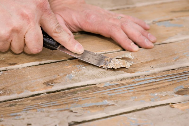 Paint Scraping detail